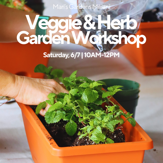 6/7 Veggie & Herb Garden Workshop (Mililani)