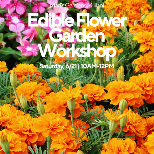 6/21 Edible Flower Garden Workshop (Mililani)