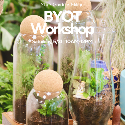 5/31 BYOT (Bring Your Own Terrarium) Workshop (Mililani)