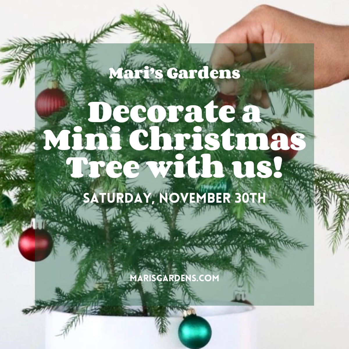 11/30 Decorate a Mini Christmas Tree with Us!