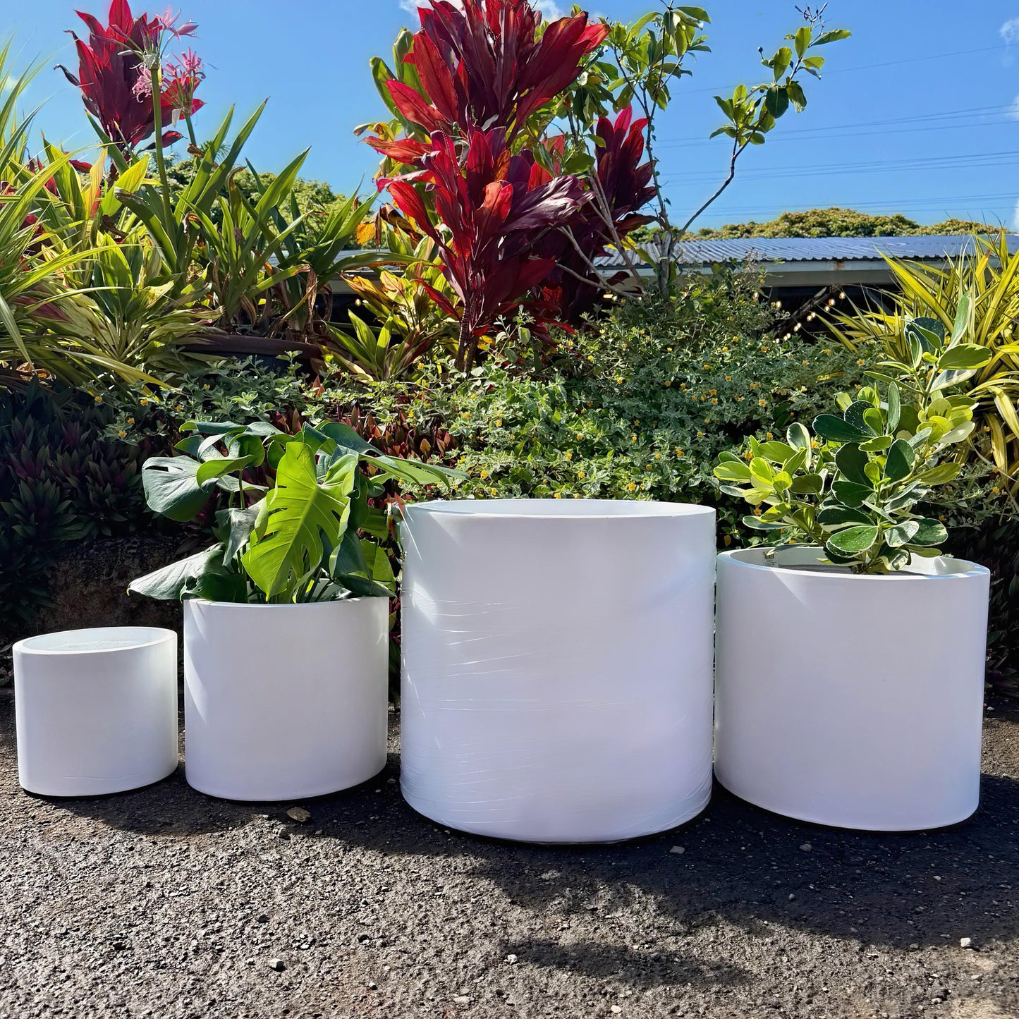 Magnesium Planters