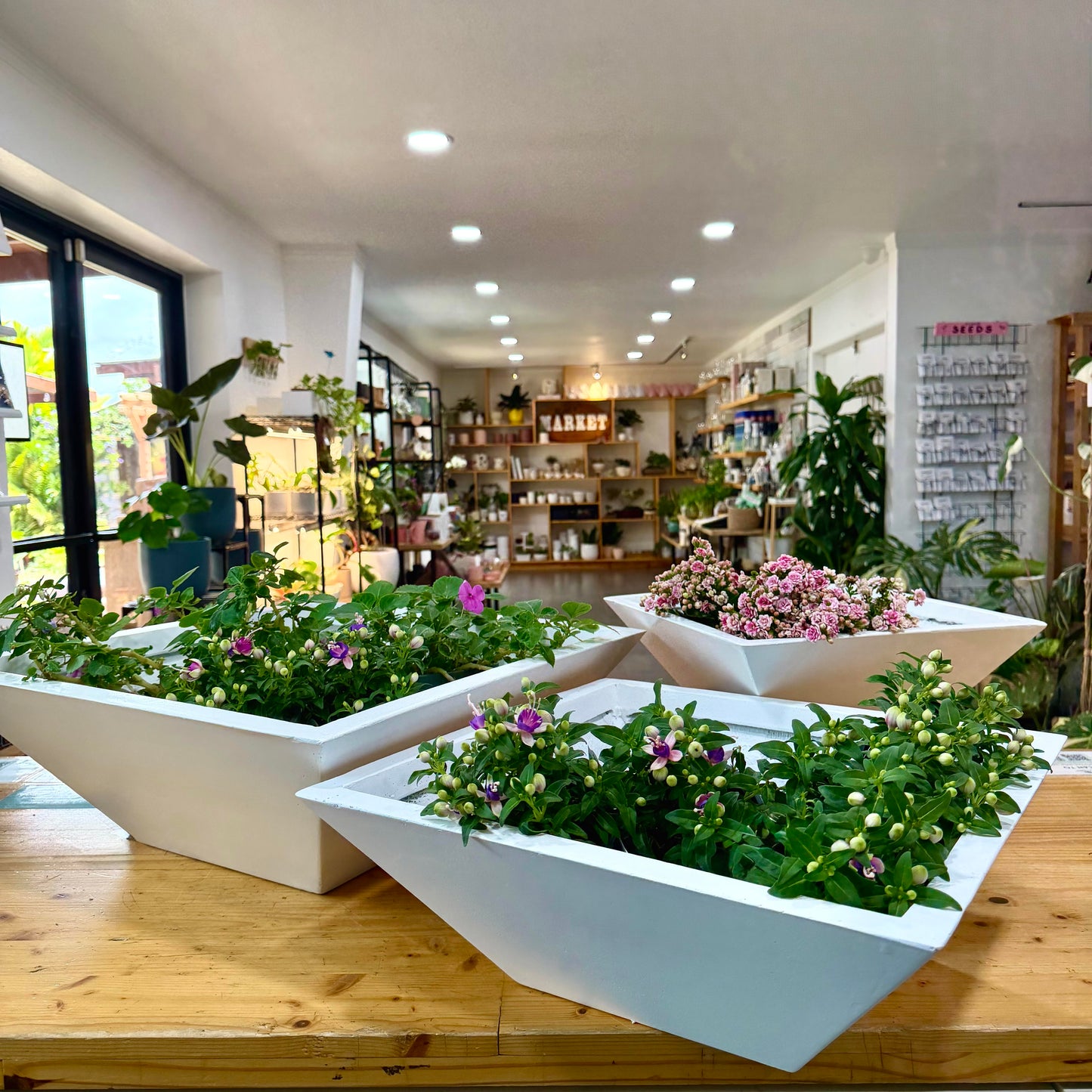 Magnesium Planters