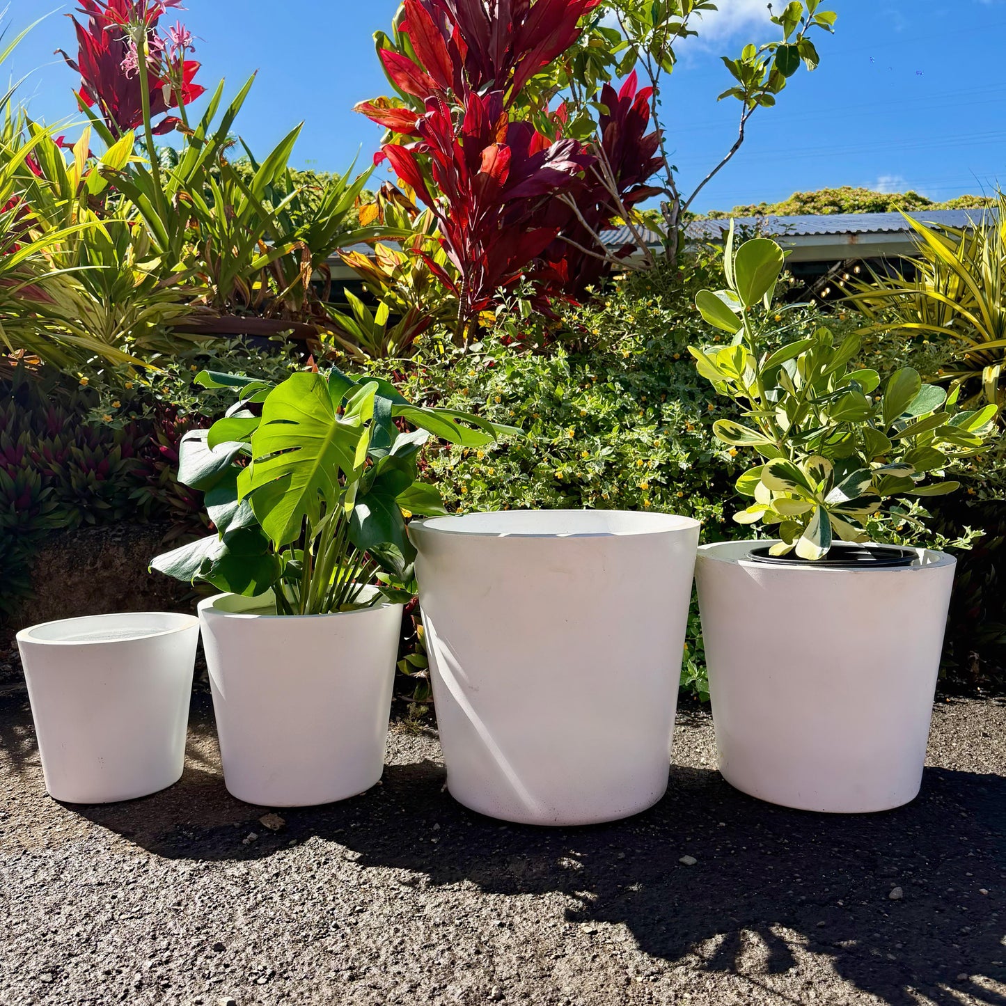 Magnesium Planters