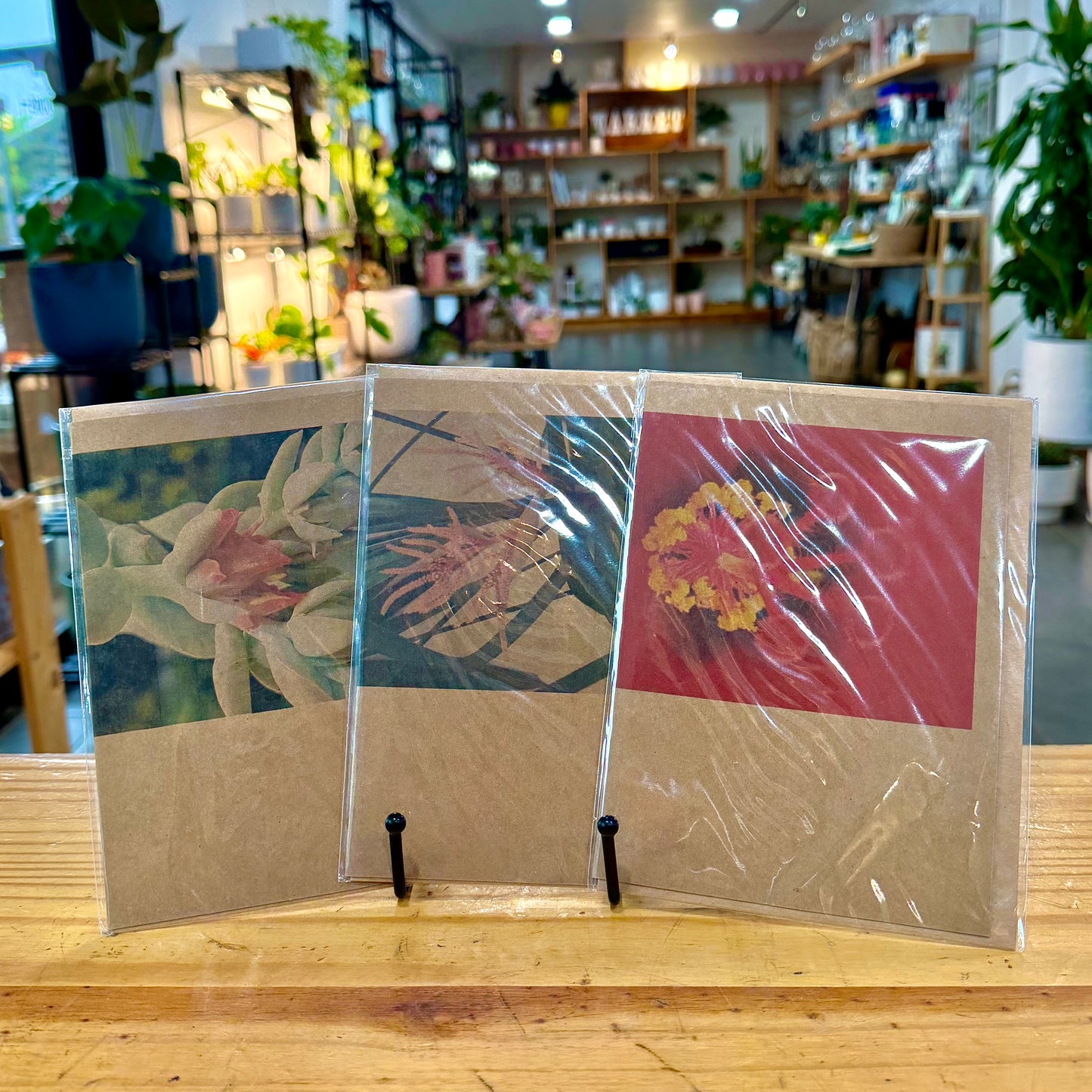 Mari's Greeting Cards