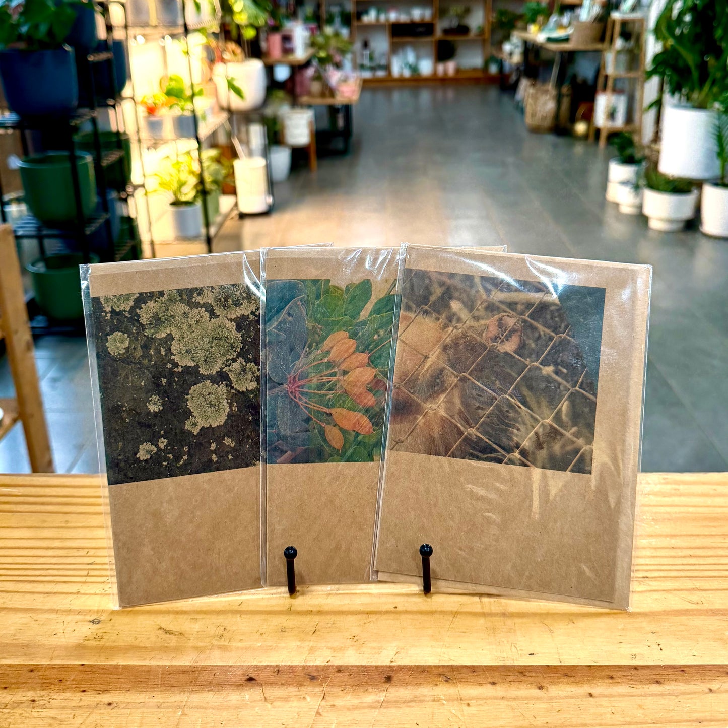 Mari's Greeting Cards