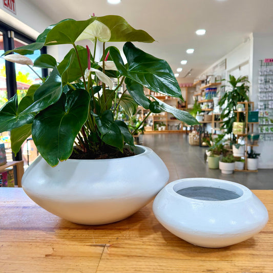Magnesium Planters