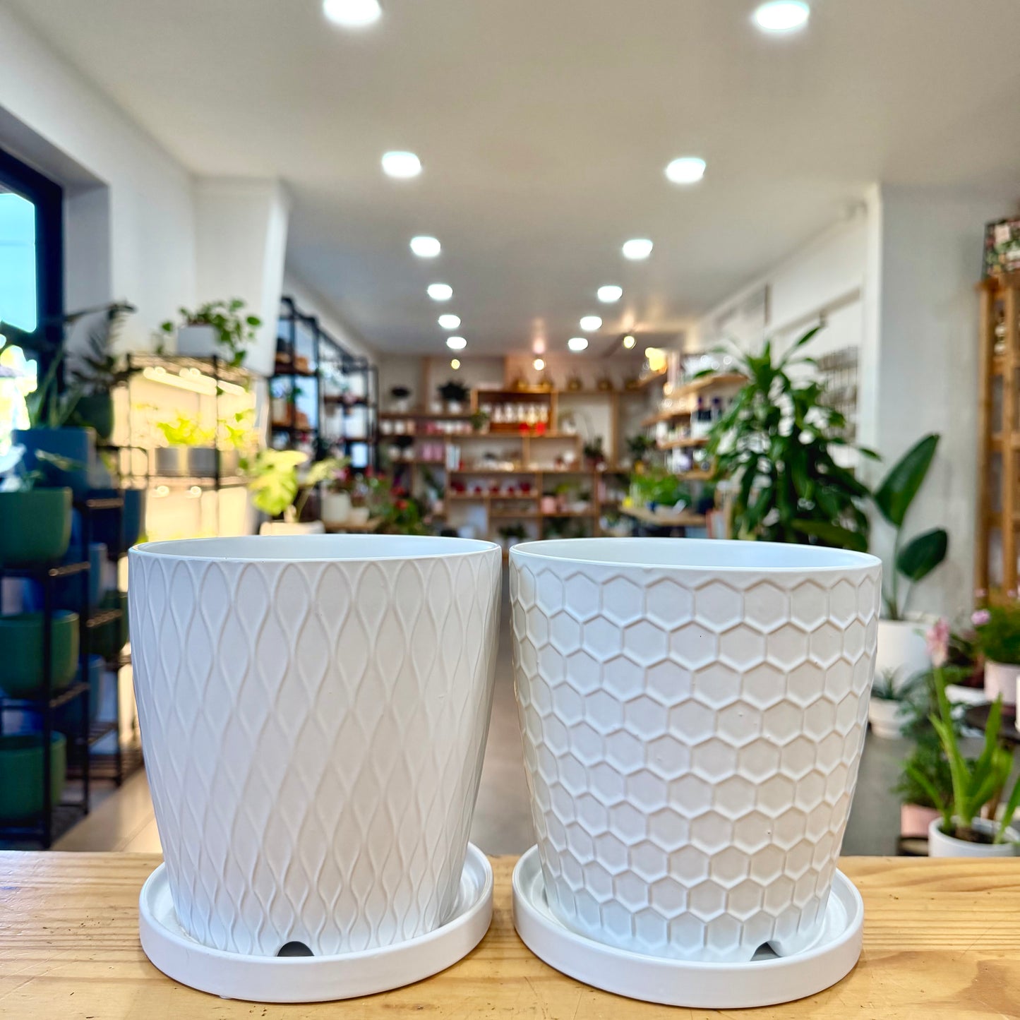 Matte White Planter