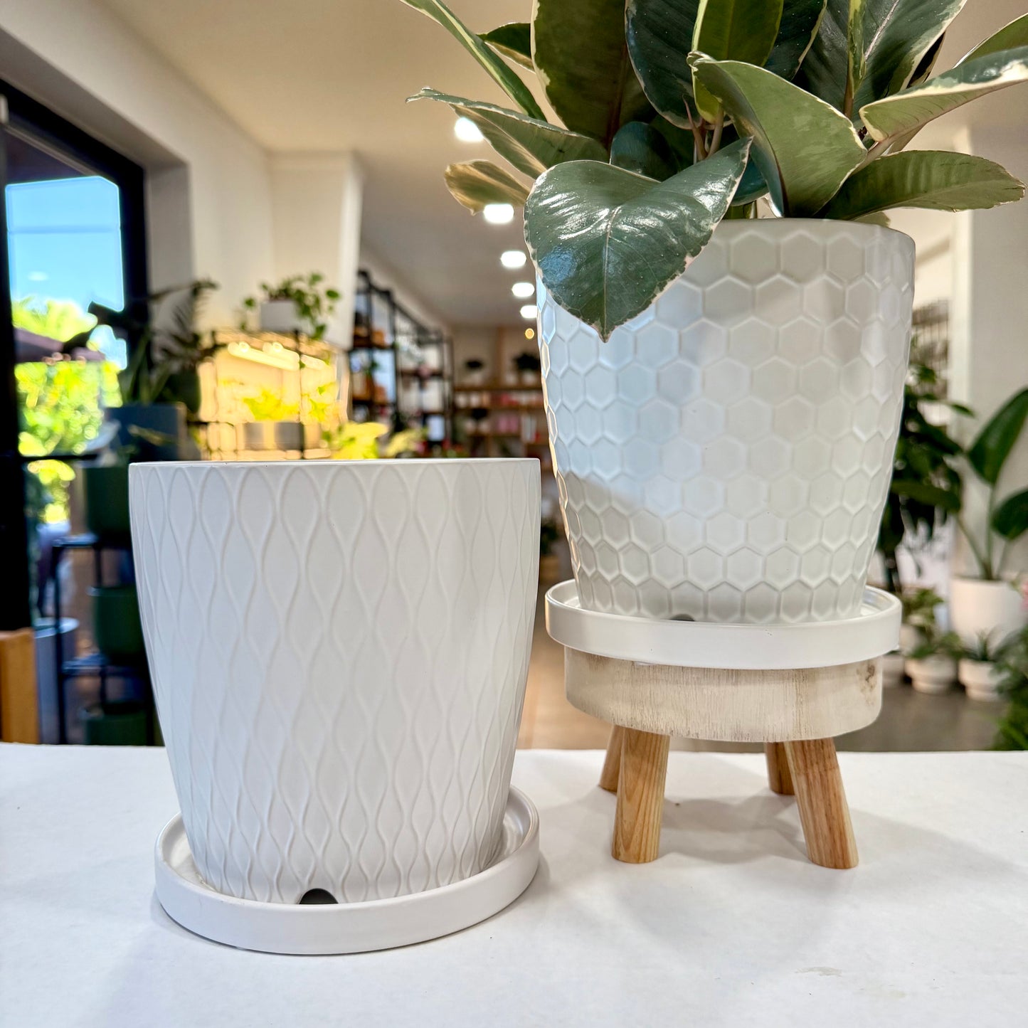Matte White Planter