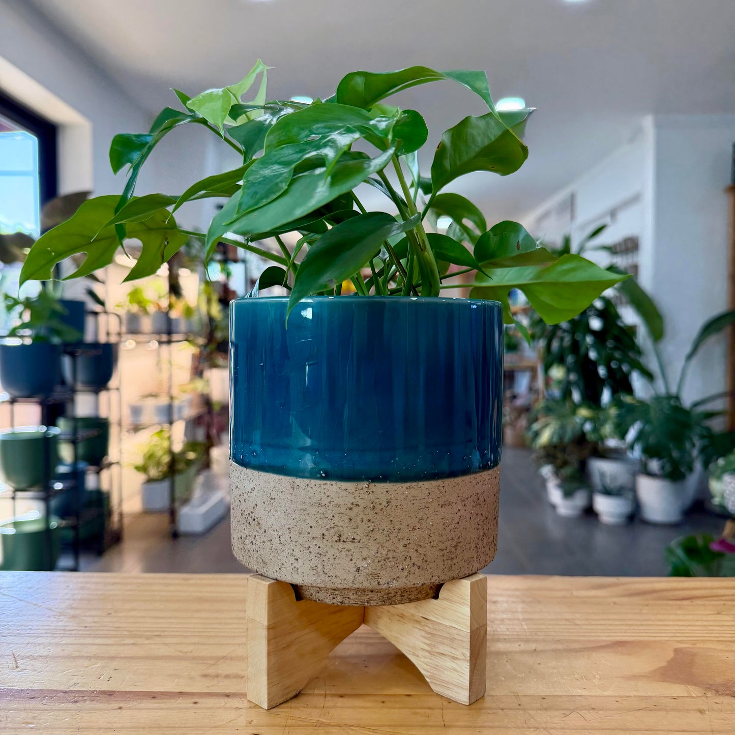 Maui Pot
