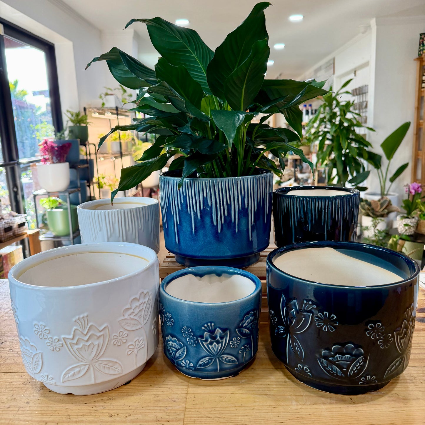 McCoy Planter