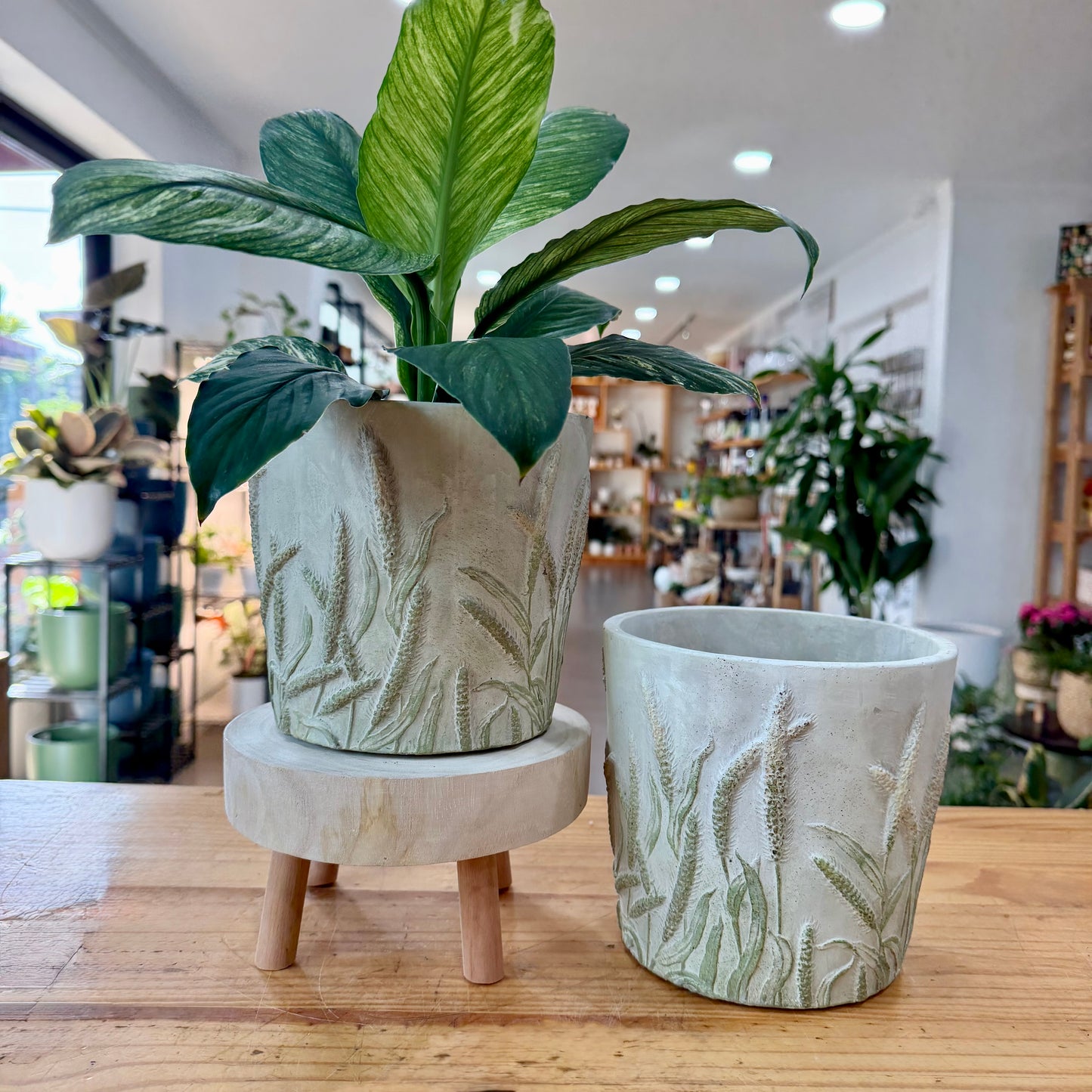 Meadow Cement Planter