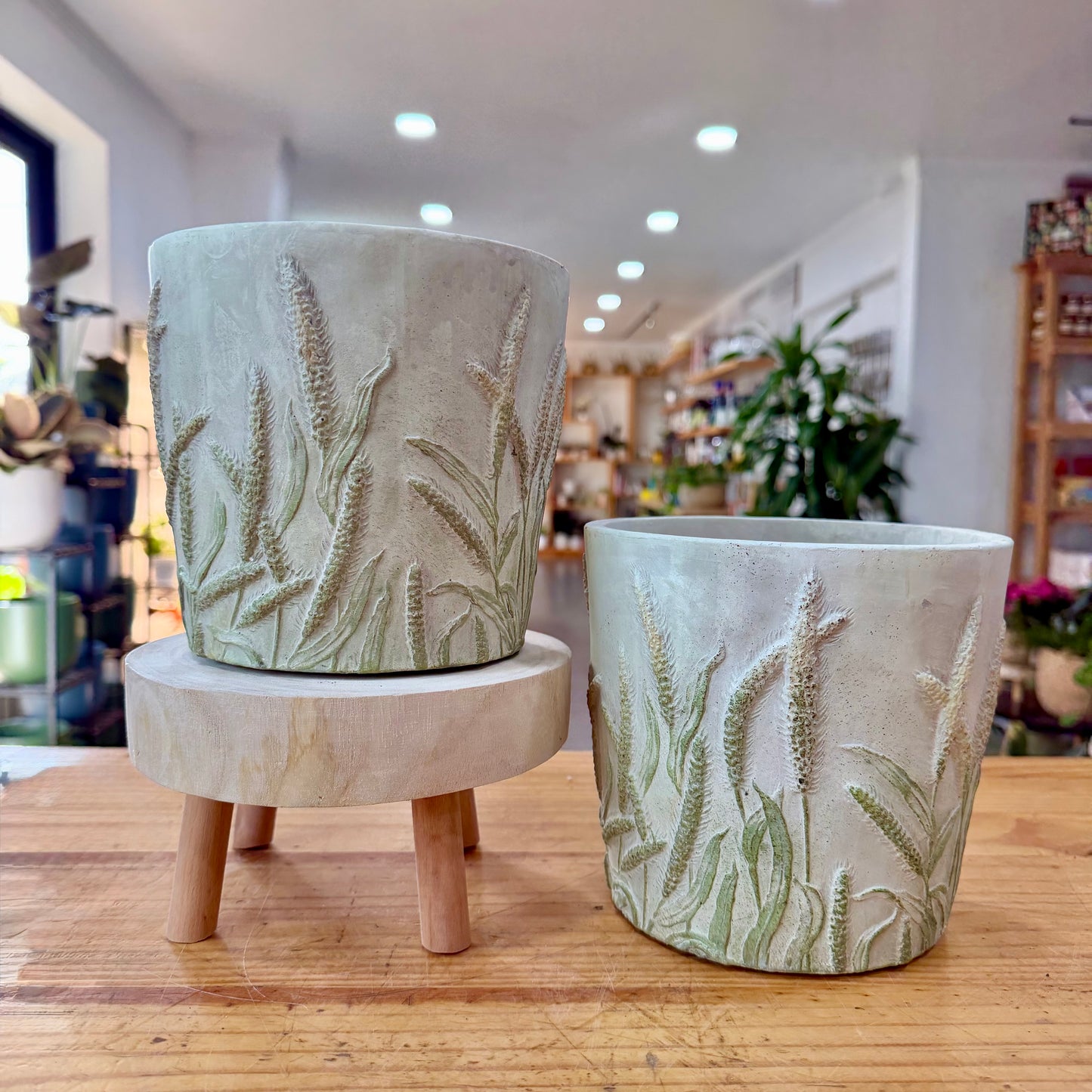 Meadow Cement Planter