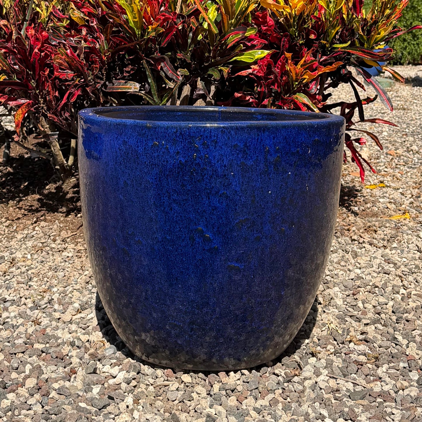 Meg Planter