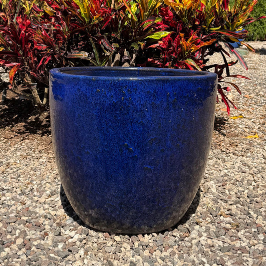 Meg Planter