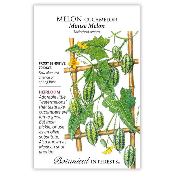Melon seeds, "Cucamelon Mouse"
