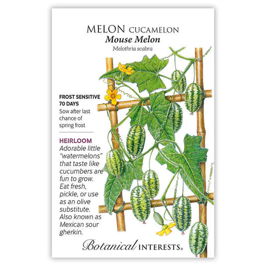 Melon seeds, "Cucamelon Mouse"