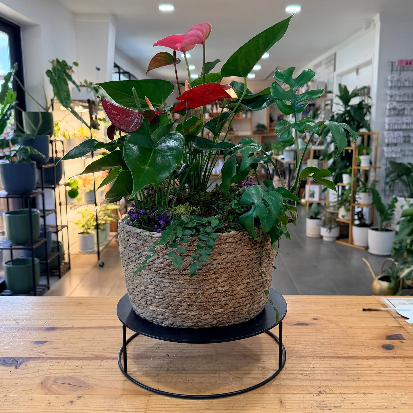 Plant Stands