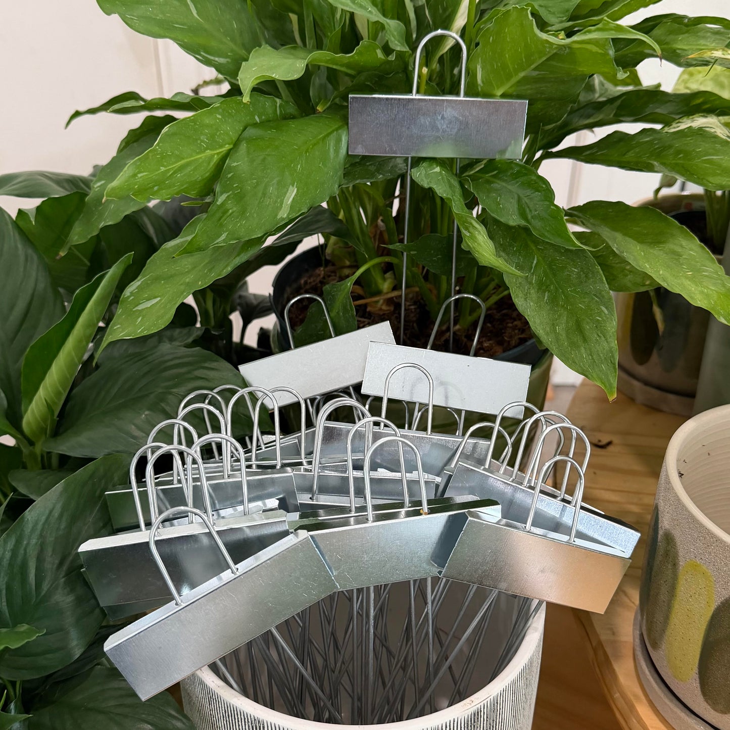 Metal Plant Labels
