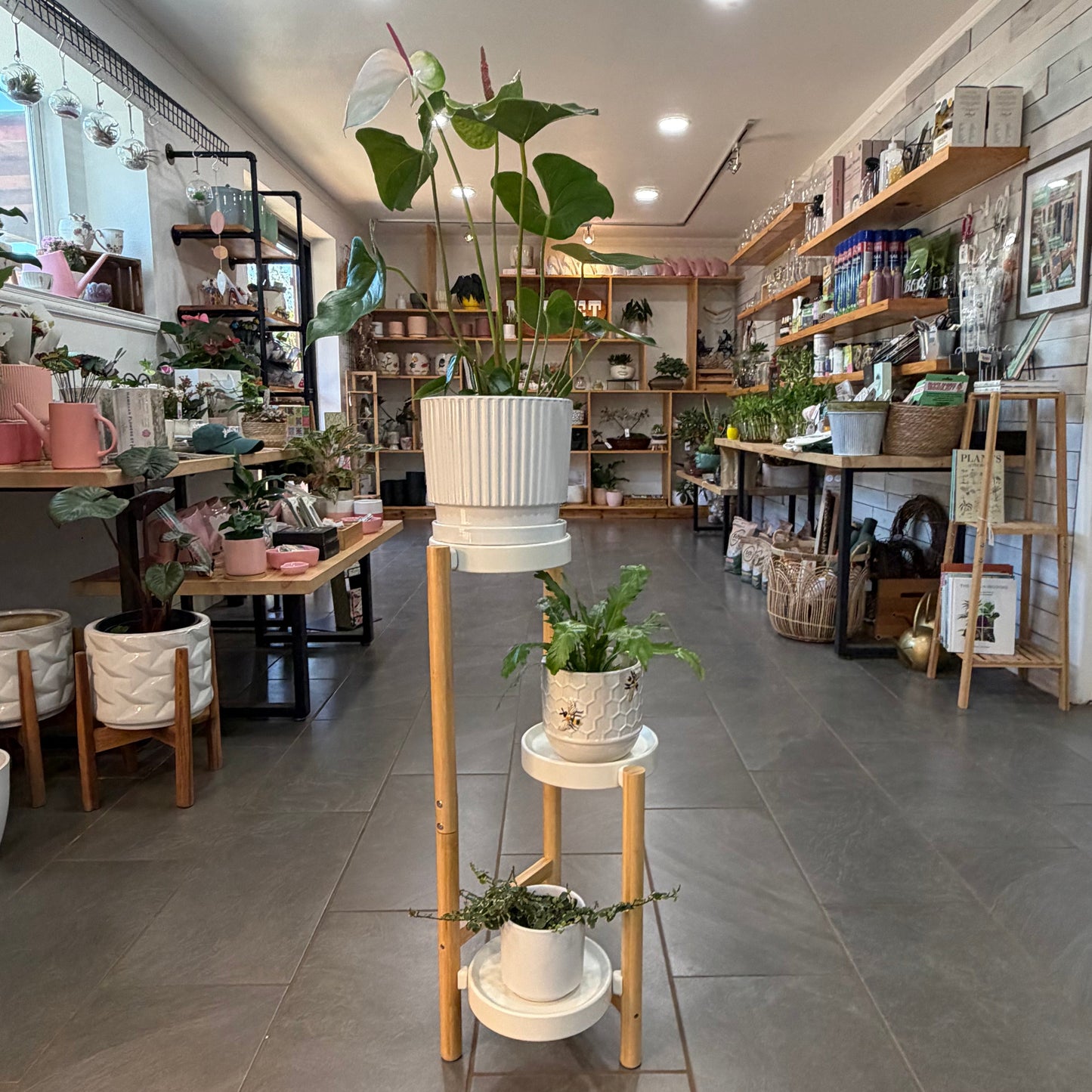 Plant Stands