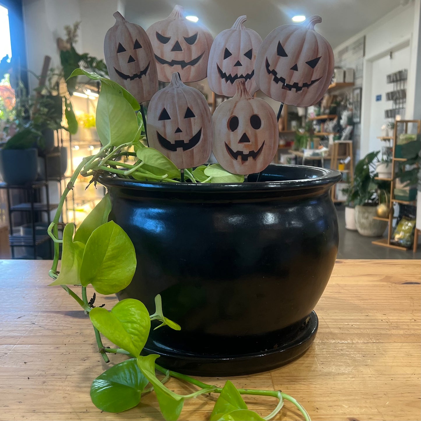 Halloween Picks and Stakes