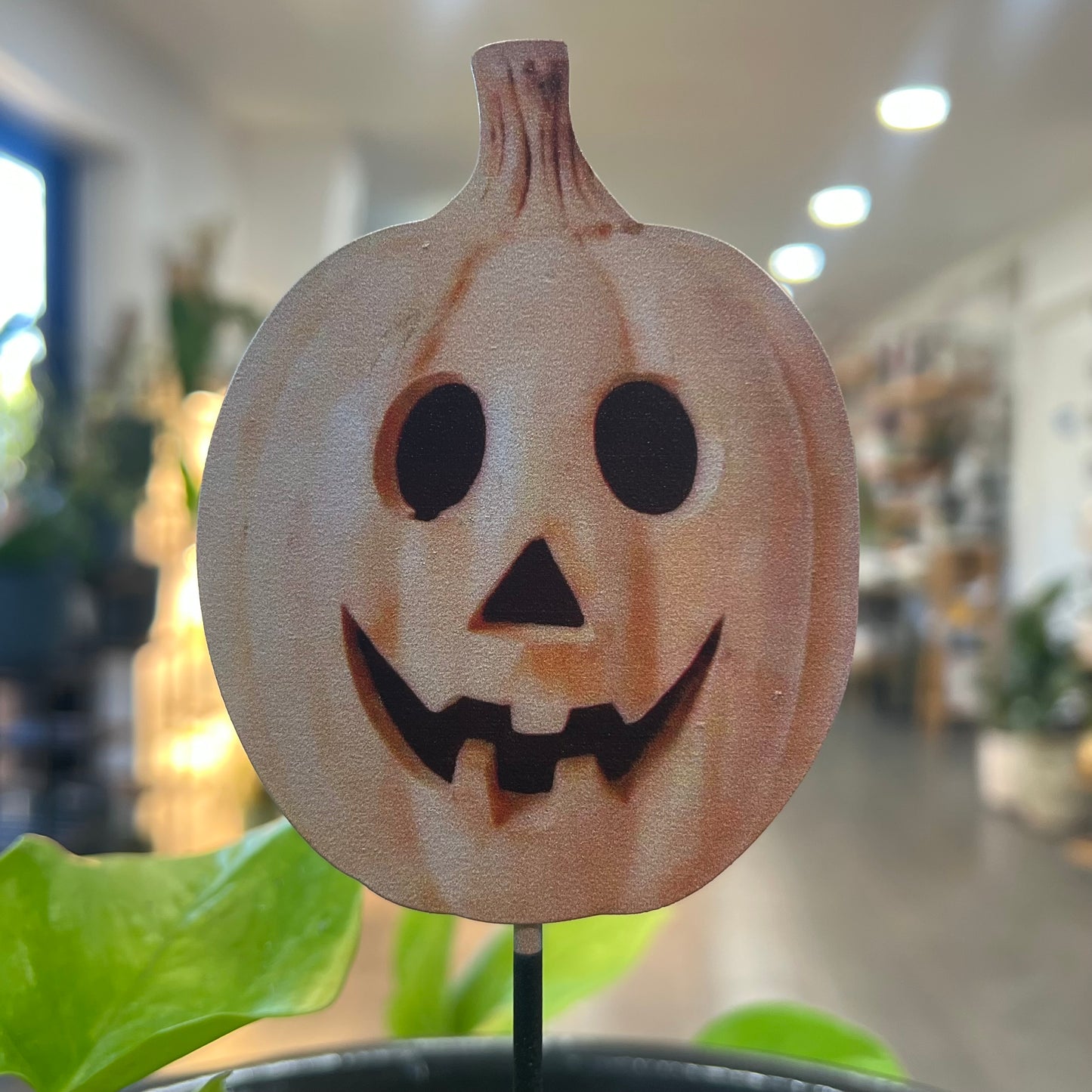 Halloween Picks and Stakes