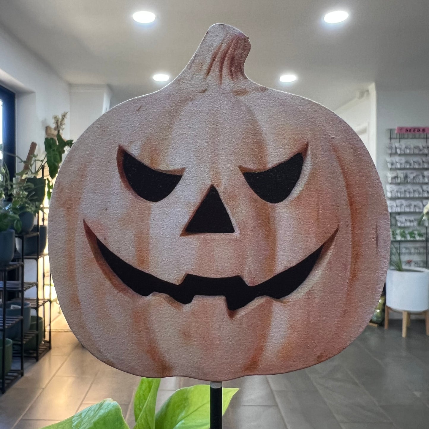 Halloween Picks and Stakes