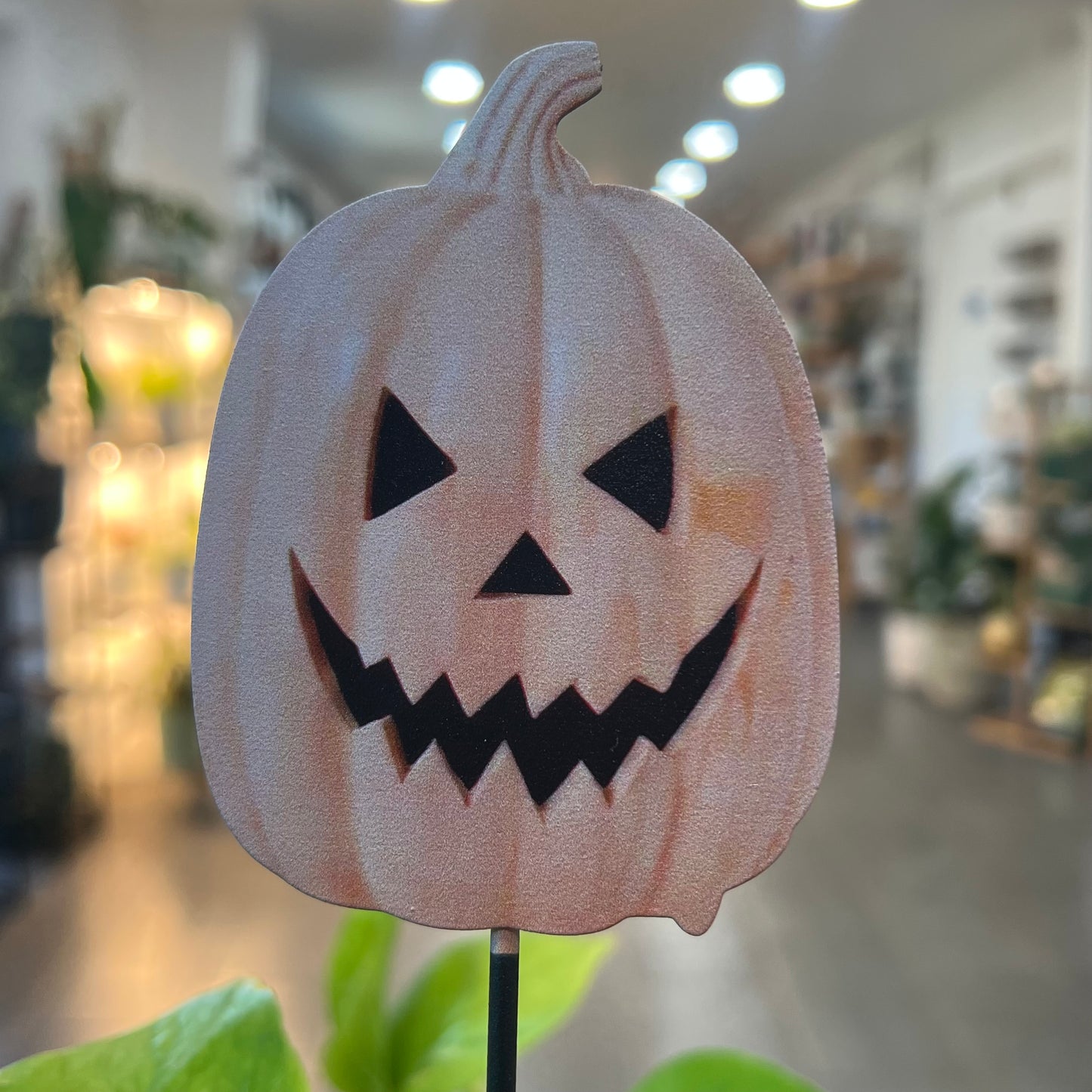 Halloween Picks and Stakes