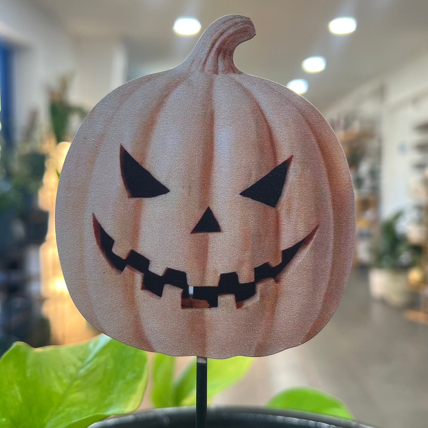 Halloween Picks and Stakes