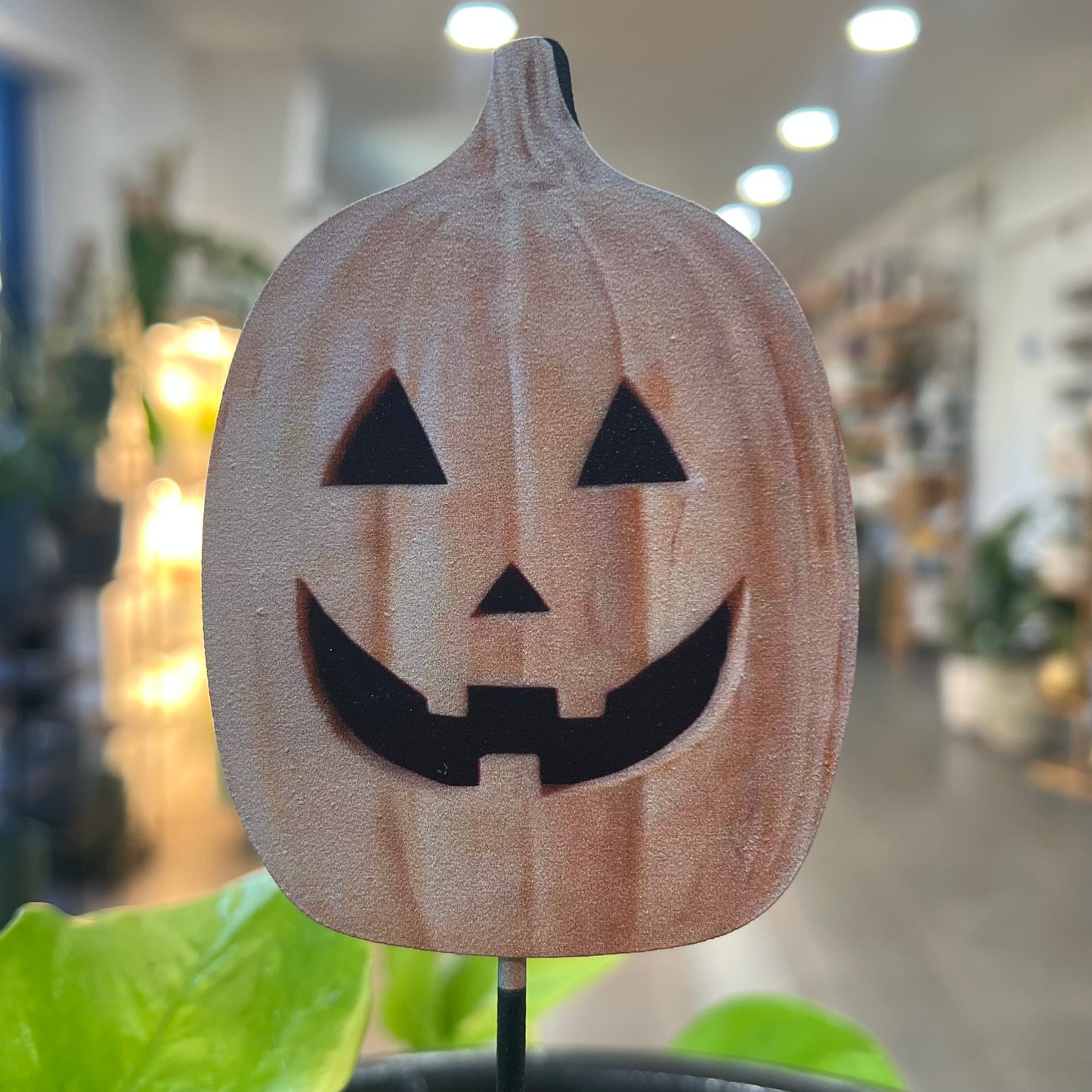 Halloween Picks and Stakes