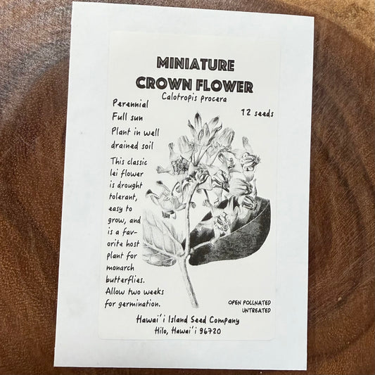 Mini Crown Flower