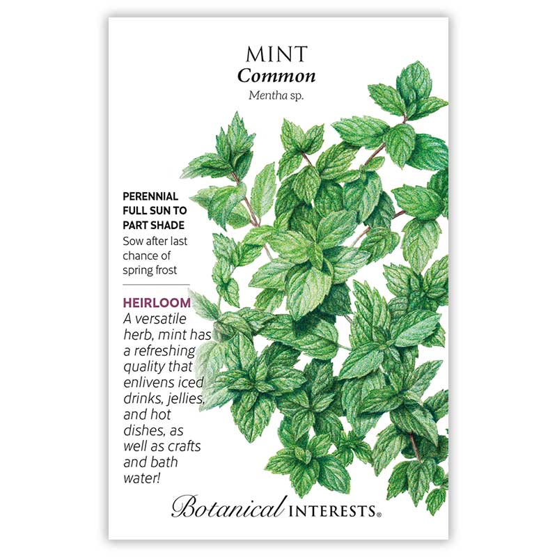 Mint seeds