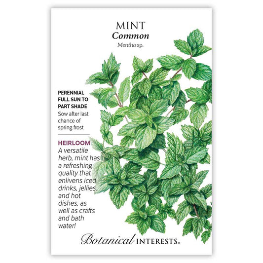 Mint seeds