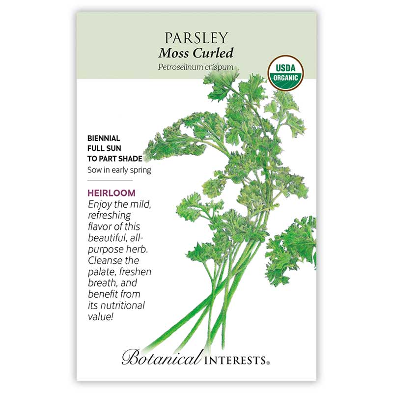 Parsley seeds 'Moss Curled'