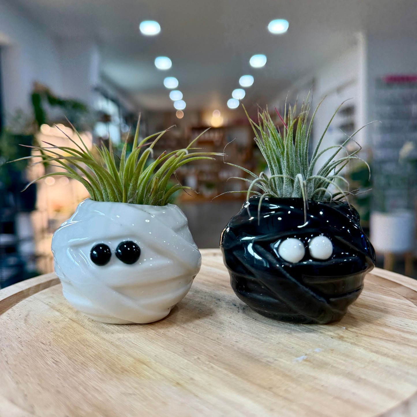 Halloween Planters