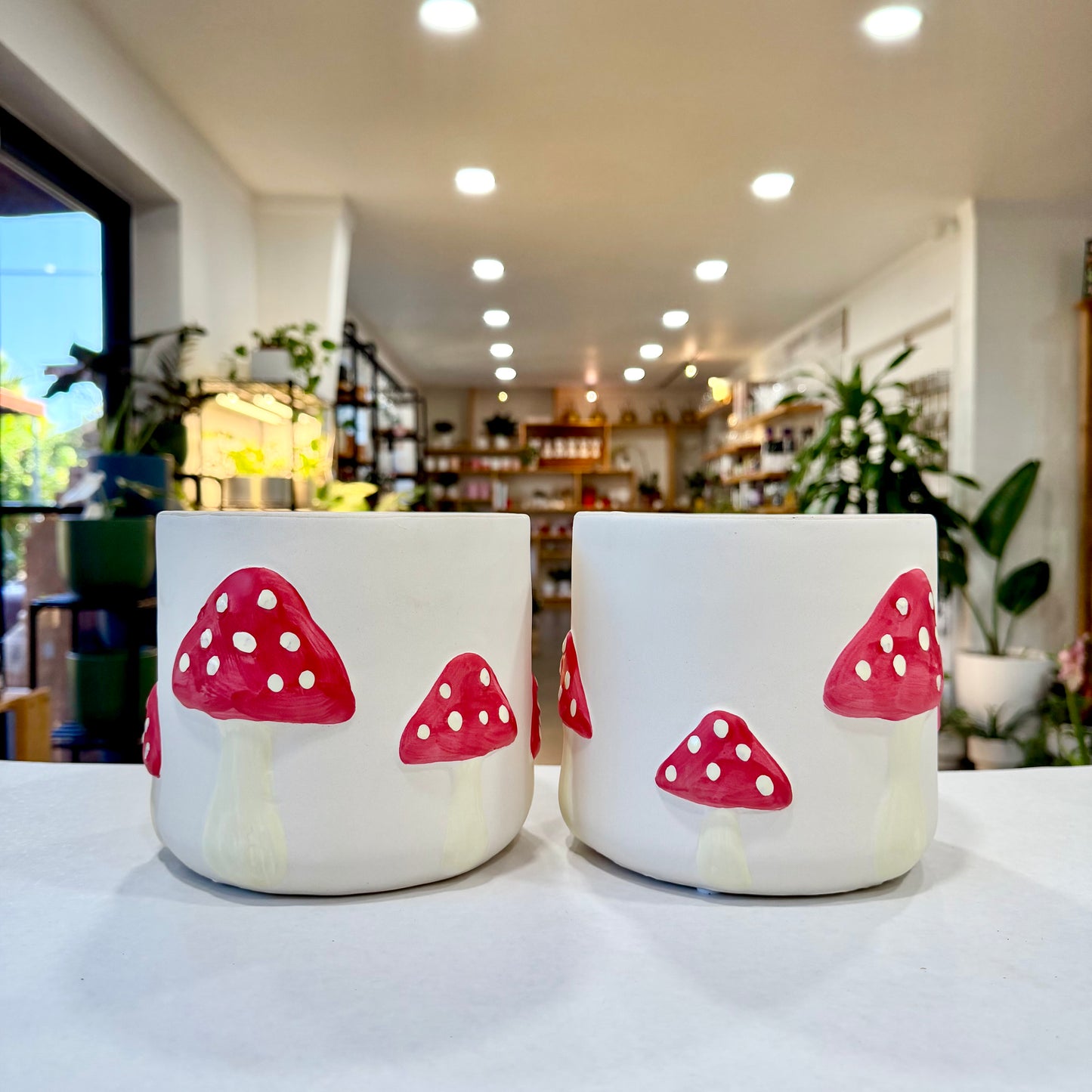 6" Mushroom Planter