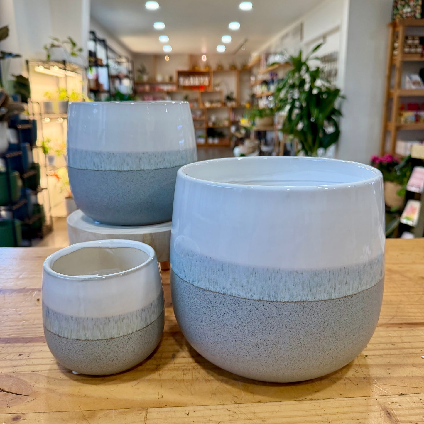 Napa Planter