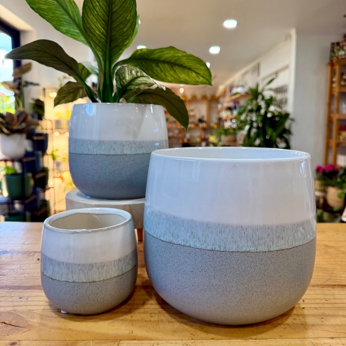 Napa Planter