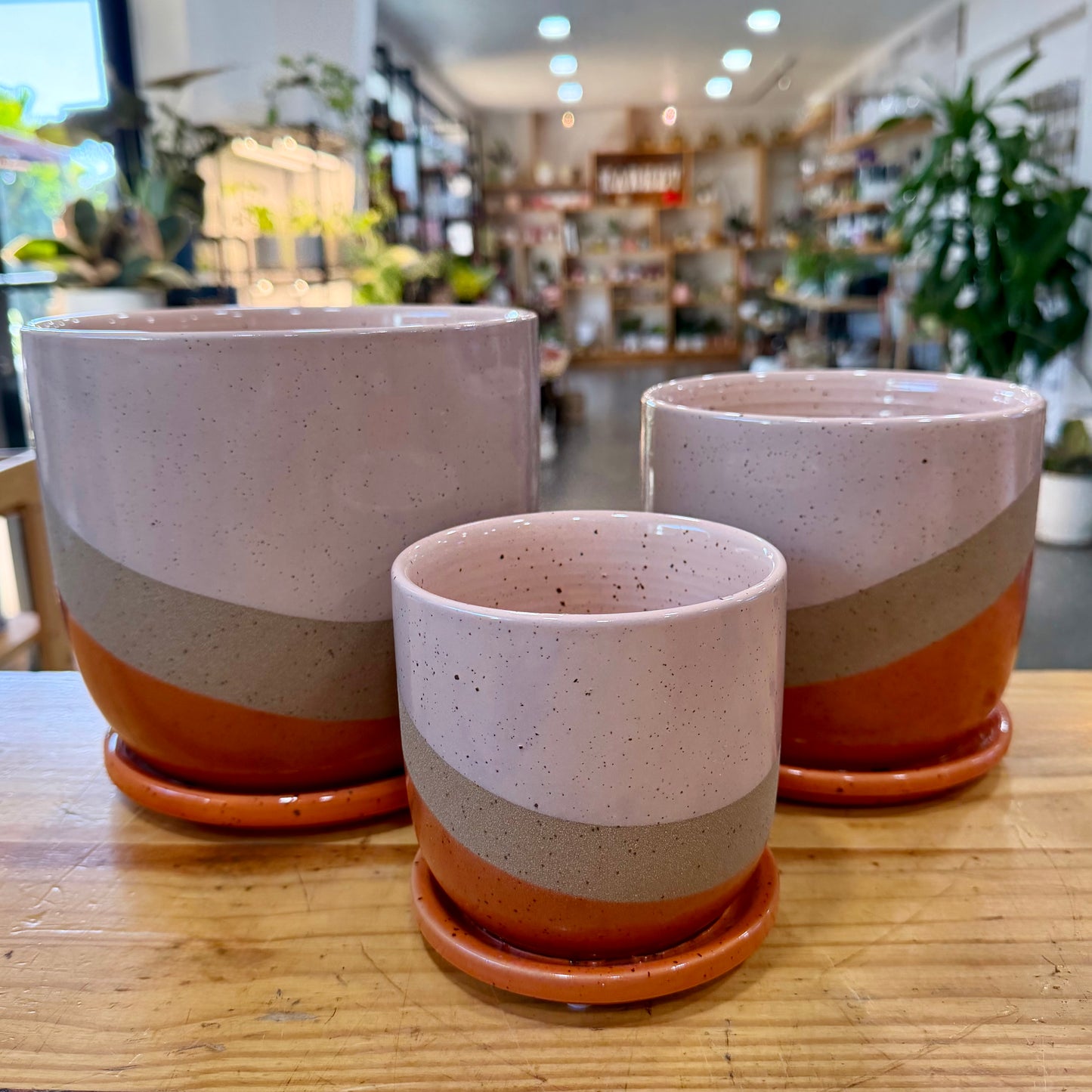 Nara Planter