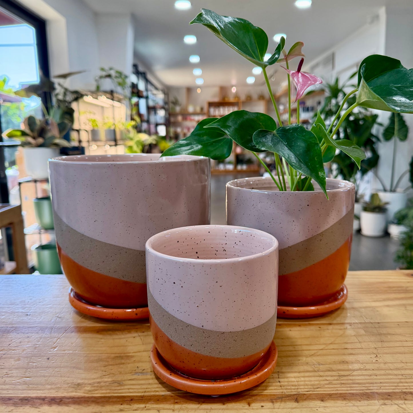 Nara Planter