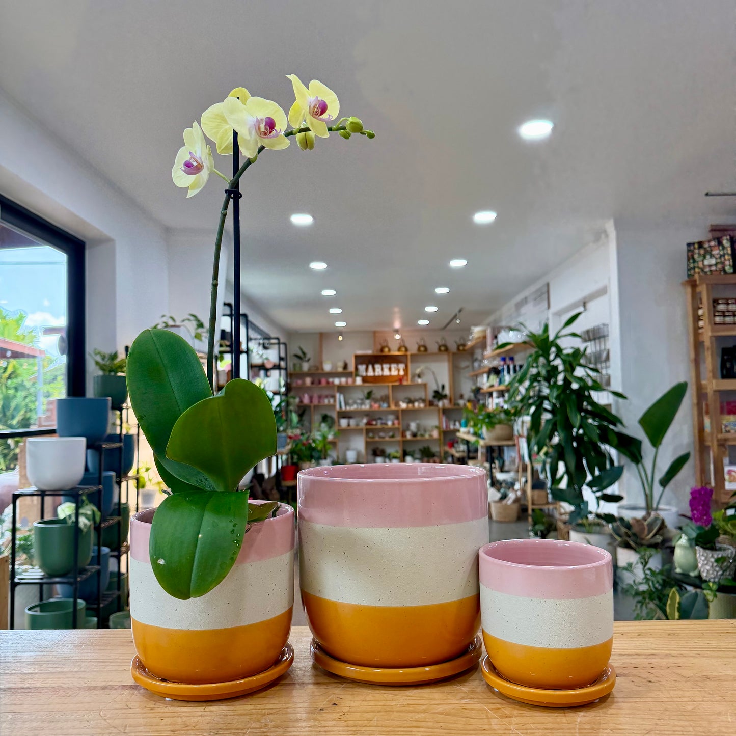 Nara Planter