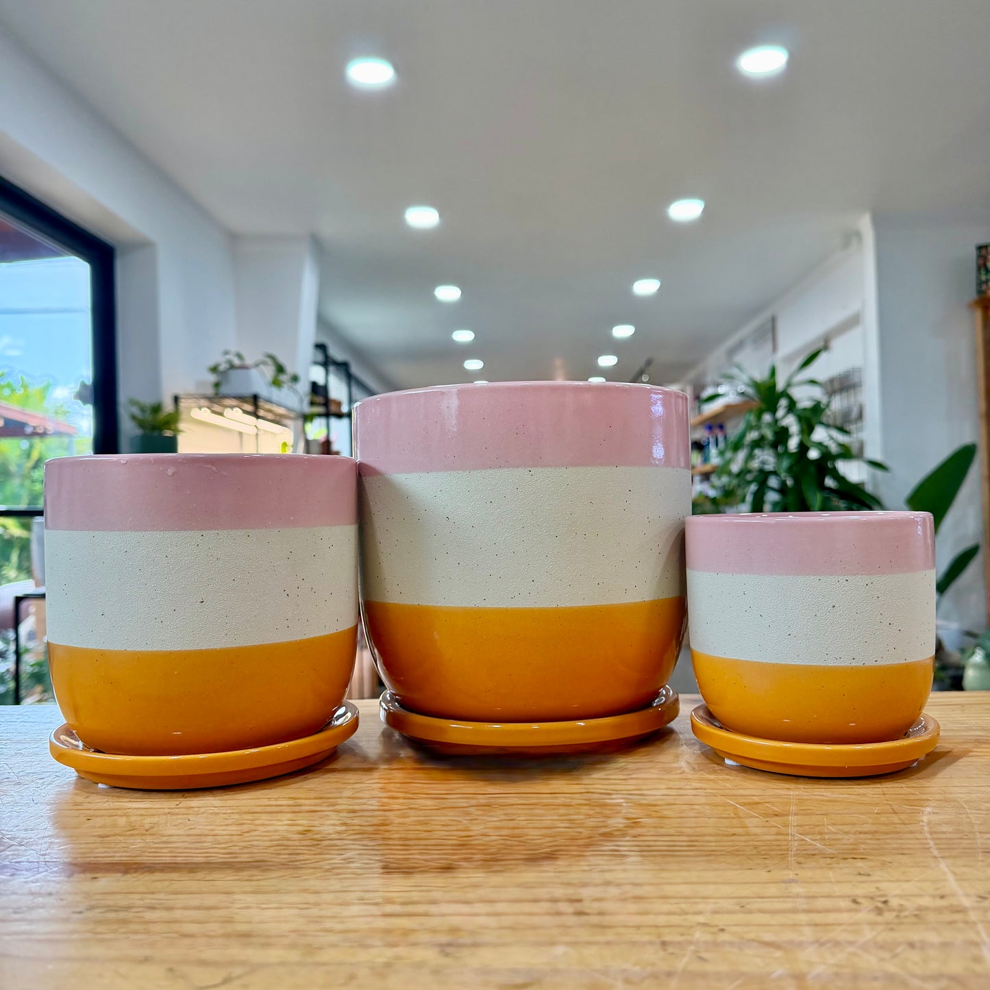 Nara Planter