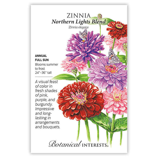 Zinnia seeds 'Northern Lights'