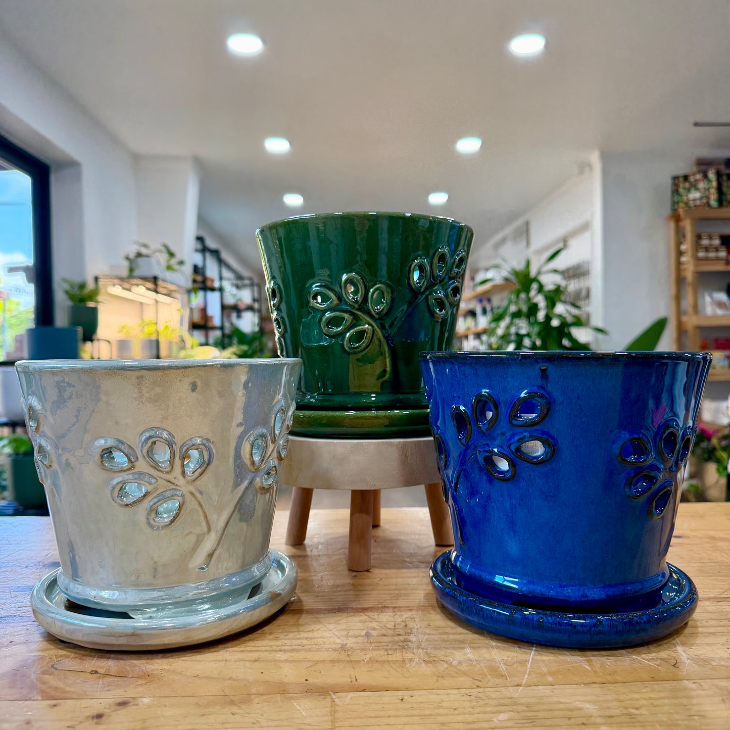 Olive Branch Orchid Pot