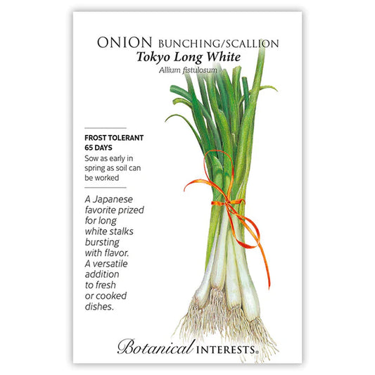 Onion Bunching seeds, "White Tokyo Long"