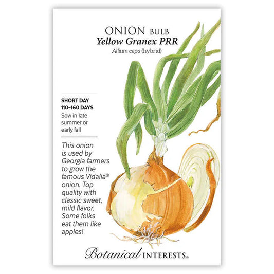 Onion Bulb, "Yellow Granex Hybrid"