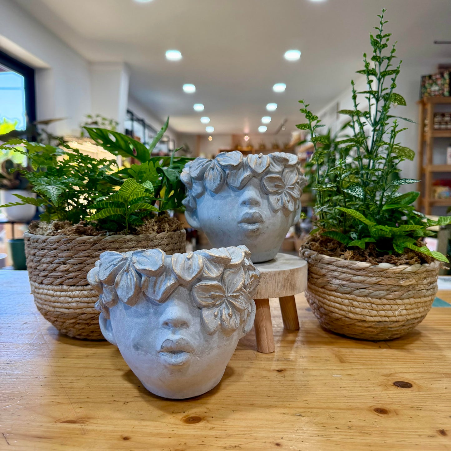 Ophelia Planters
