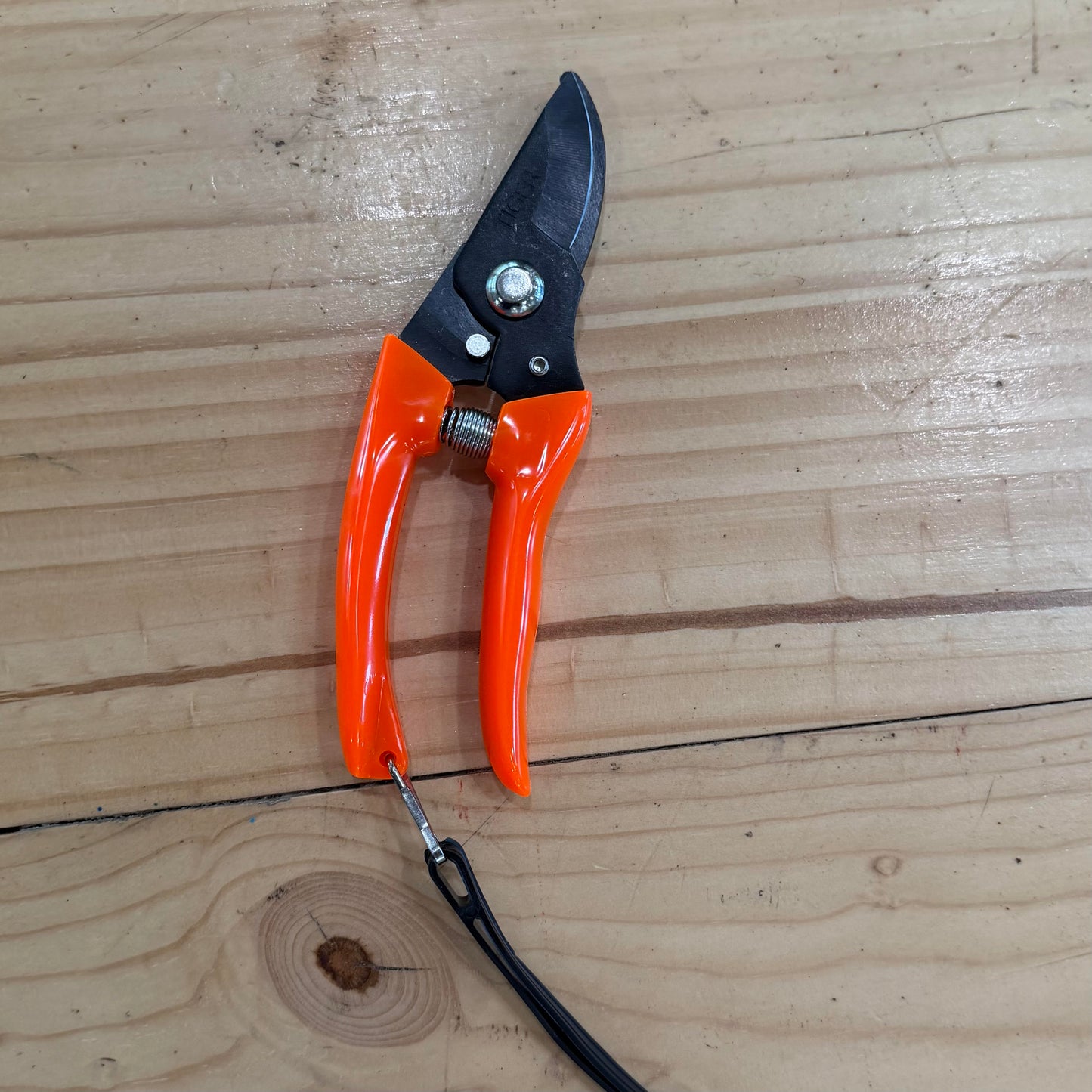 Sheers & Pruners