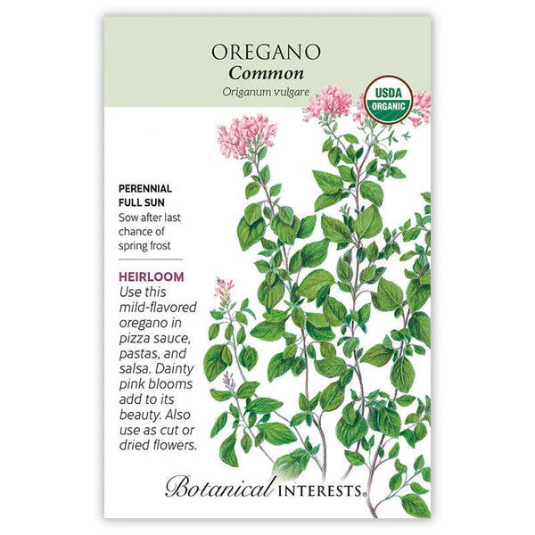 Oregano seeds, "Common"