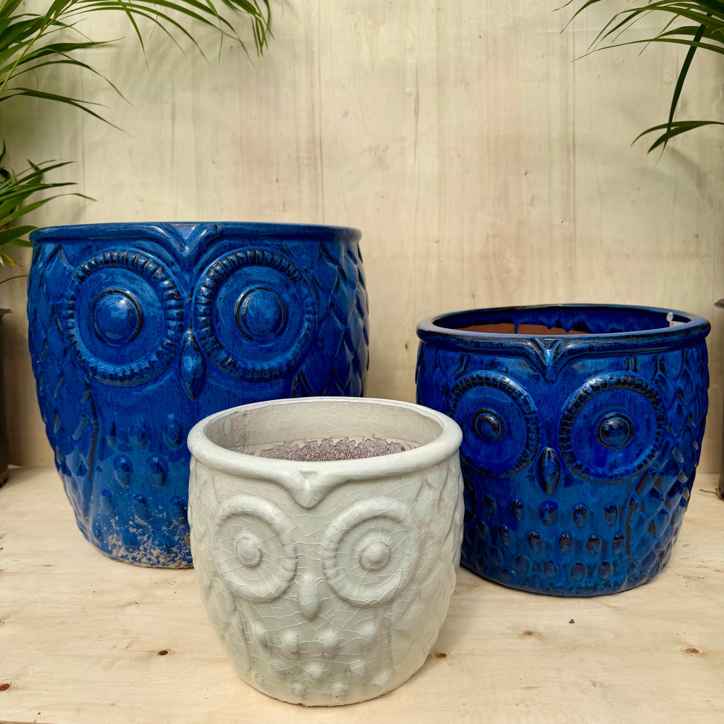 Owl Planter