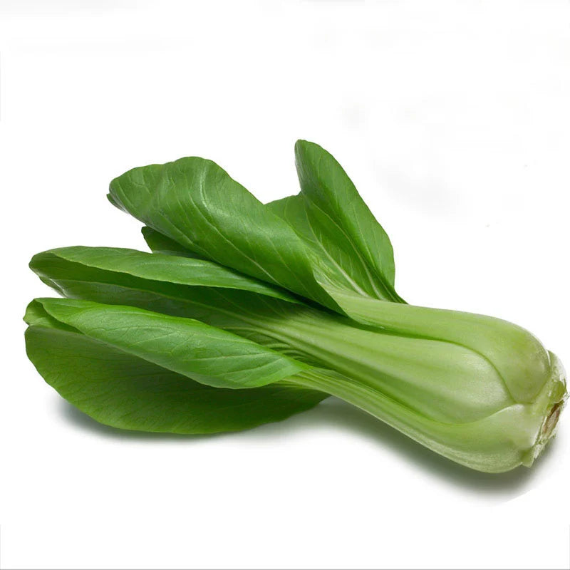 Pak Choi, Shanghai Large Green Stem Japan Hyb, Seeds